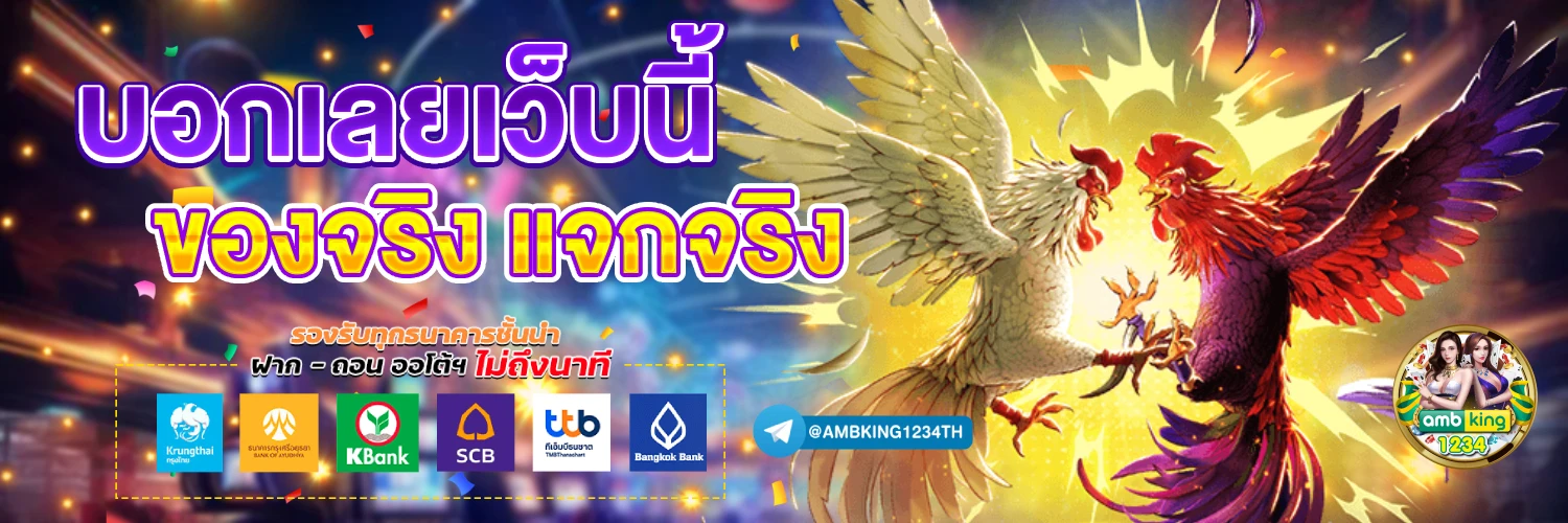 money 88 slot - แบนเนอร์โปรโมชั่น