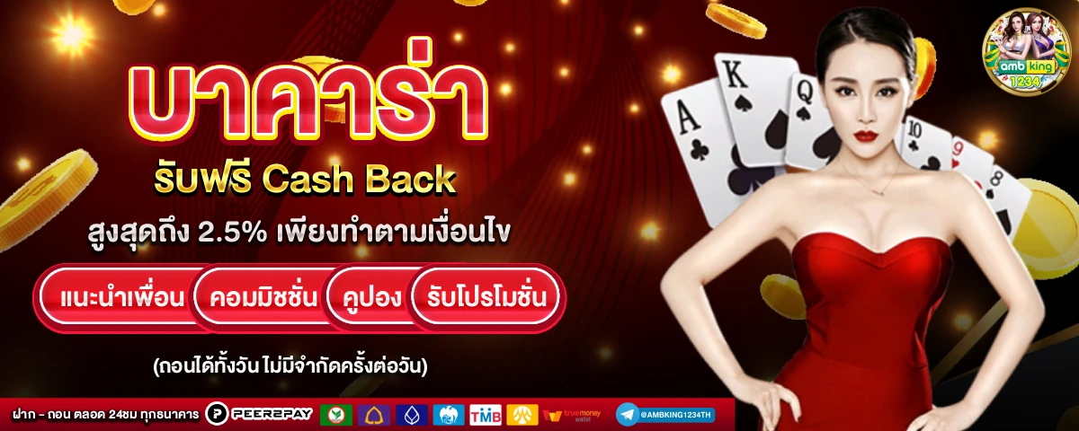 slot ฝากถอน wallet - แบนเนอร์โปรโมชั่น