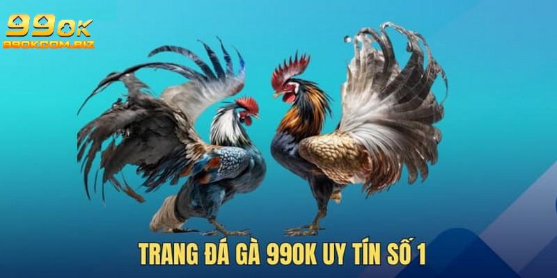 Những trận đá gà hấp dẫn, kịch tích được cập nhật mỗi ngày